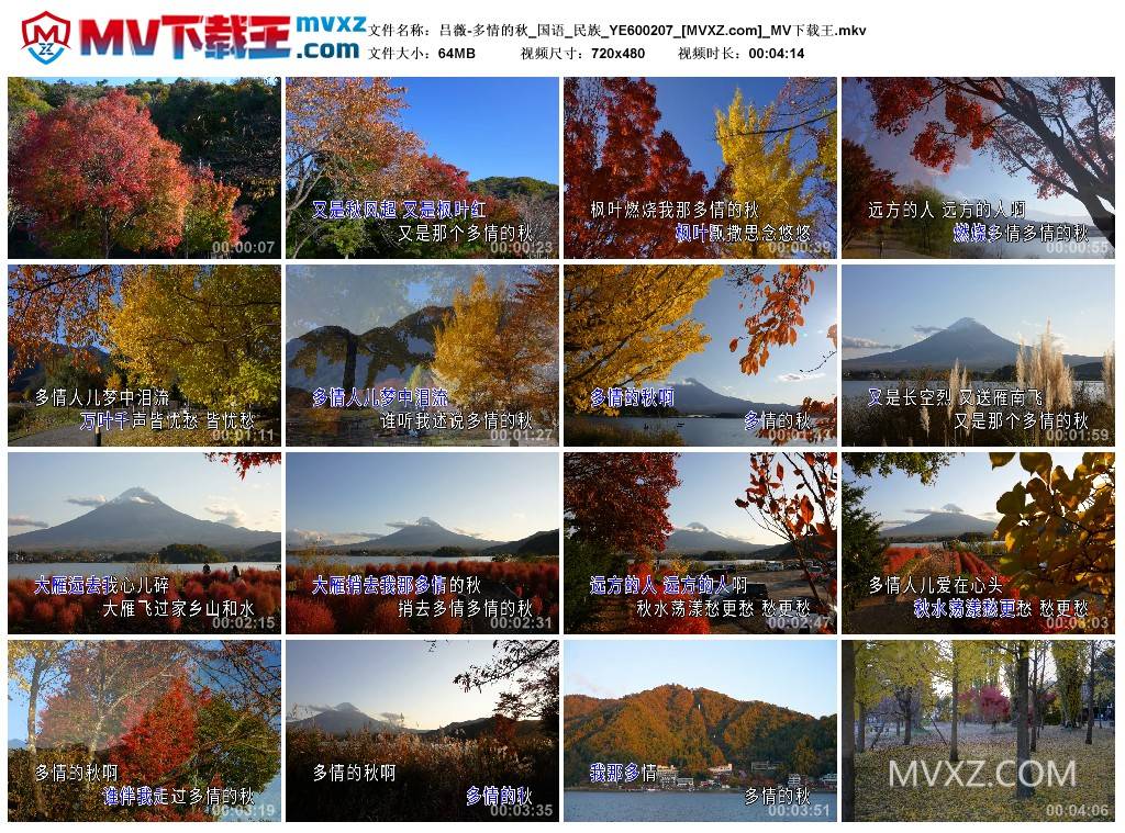 吕薇-多情的秋_国语_民族_YE600207